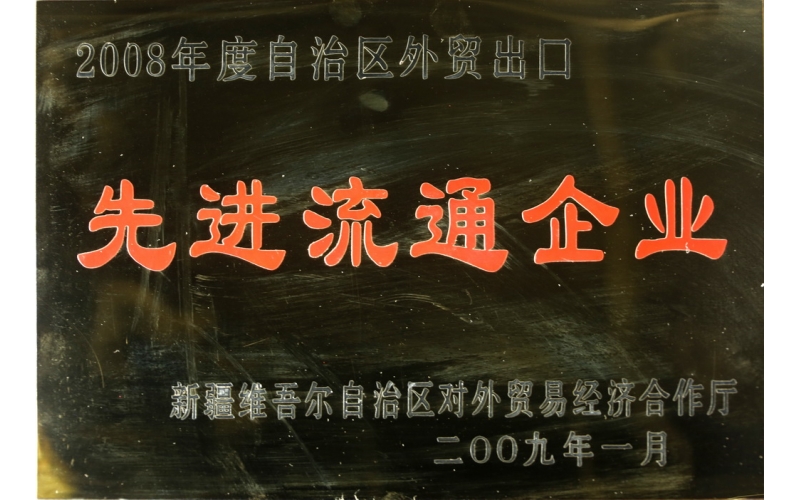 2009年新疆外貿出口先進(jìn)企業(yè)