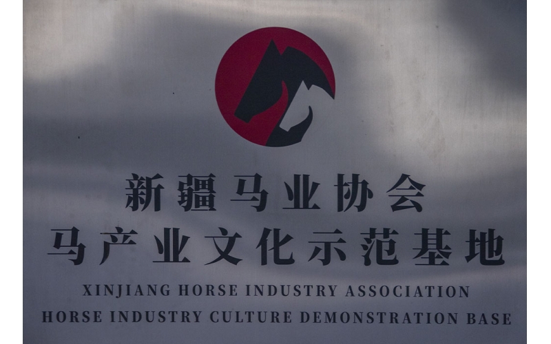 新疆馬業(yè)協(xié)會(huì )馬產(chǎn)業(yè)示范基地